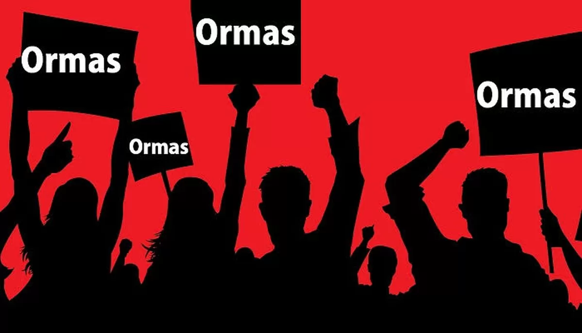 Dua Wajah Ormas: Mitra Negara dan Beban Investasi