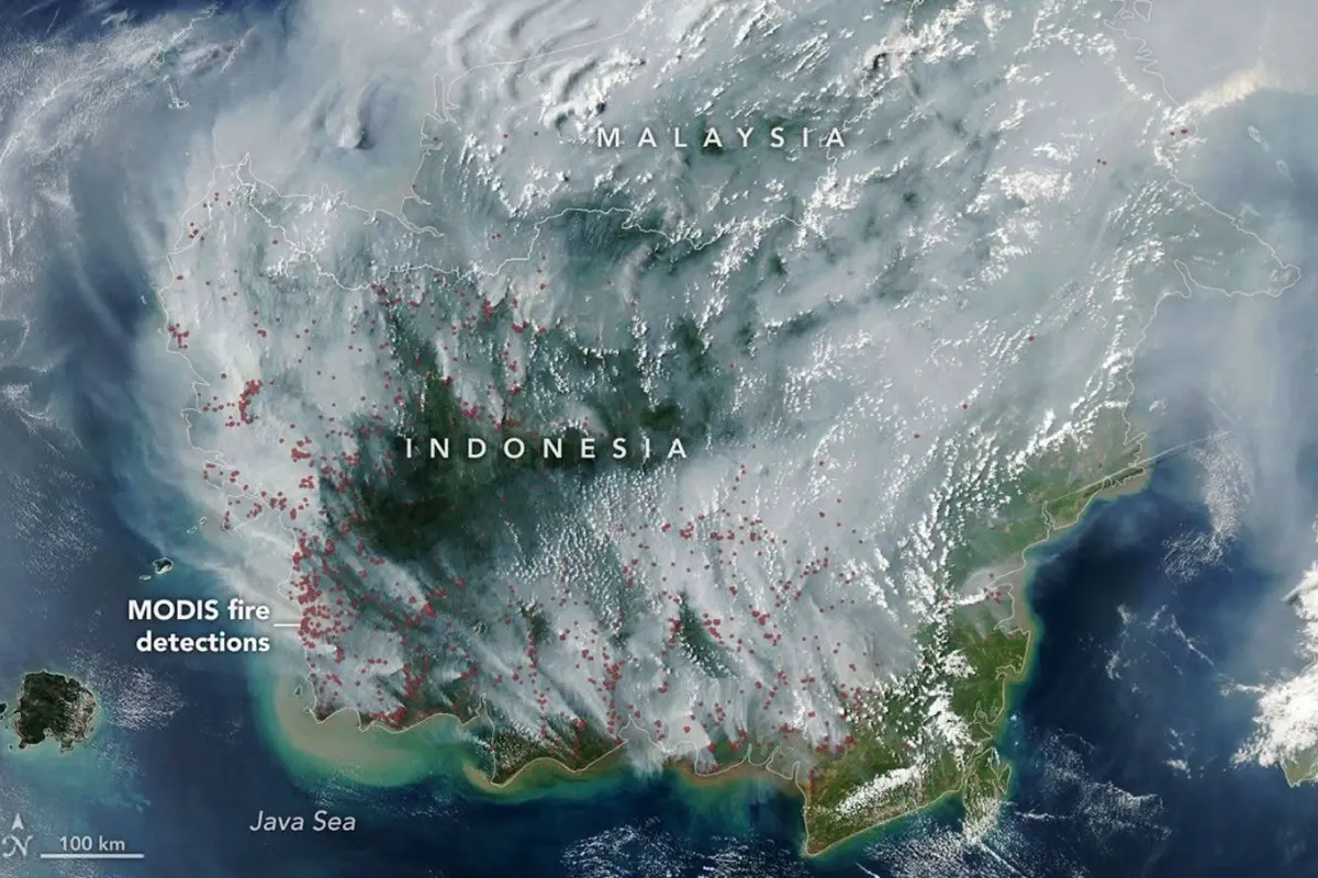 Asap Karhutla Tertangkap NASA, Indonesia Jadi Sorotan Dunia