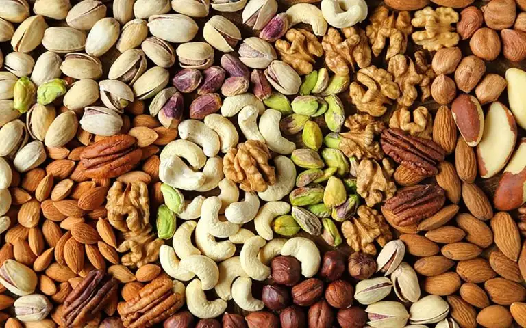 Kacang Terbaik untuk Diet: Tinggi Protein & Serat