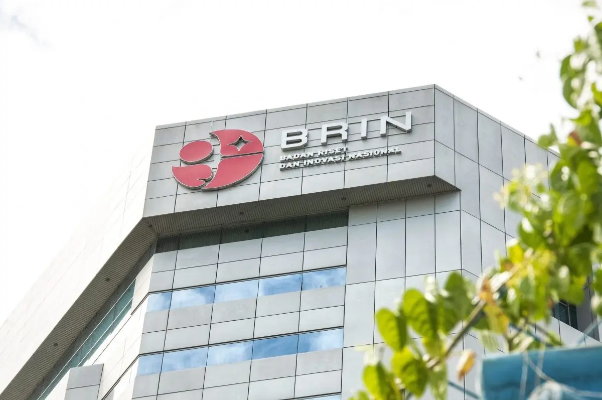BRIN Uji Tepung Singkong Lawan Karhutla, Seberapa Ampuh?