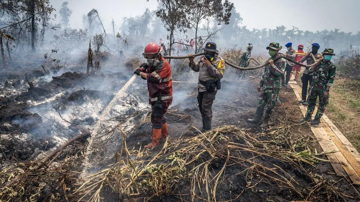 64 Pesawat dan 54 Ribu Personel Dikerahkan Padamkan Karhutla