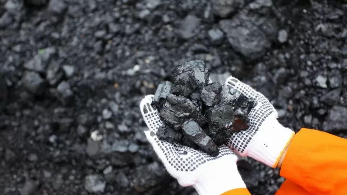 Terungkap! Dugaan Manipulasi Batu Bara Disebut Jadi Pemicu Blackout di Berbagai Daerah