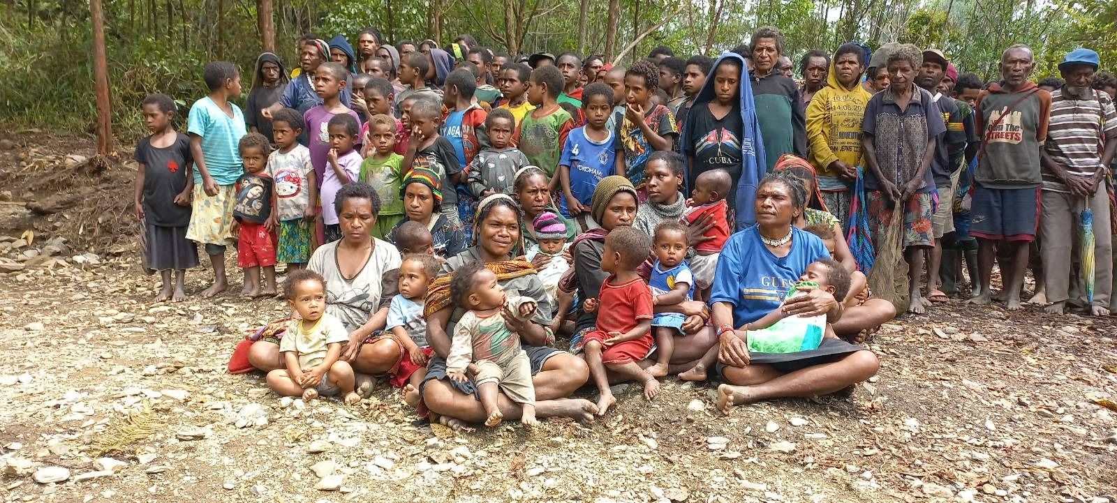 122.000 Warga Mengungsi, DPD RI Desak Pemerintah Prioritaskan Konflik Papua